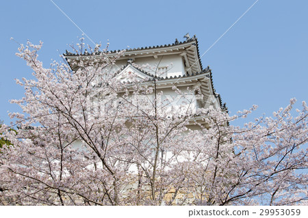 Cherry Akashi Castle的所有者 29953059