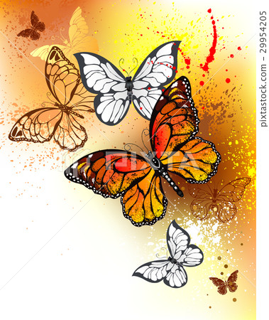 Summer butterflies monarchs Summer butterflies monarchs 29954205