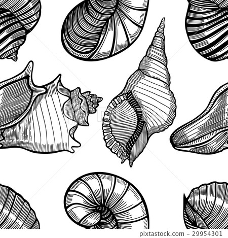 seamless pattern with sea shell seamless pattern with sea shell 29954301