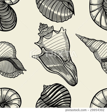 seamless pattern of seashells. seamless pattern of seashells. 29954302