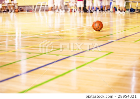 Basketball Basketball 29954321