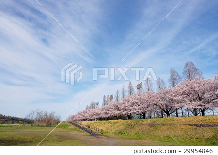 [Sacred place of cyclists] Tama River Cycling Road, Fuchu Tama River Cold Road (Fuchu City, Tokyo) (copy space)) 29954846