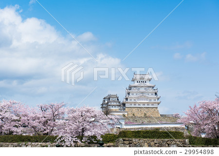 Himeji Castle Himeji Castle 29954898