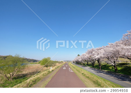 [騎自行車的聖地]多摩河自行車道/府中多摩河冷道（東京府中市）（複製空間） 29954938