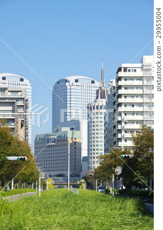Kaihin Makuhari 29955004
