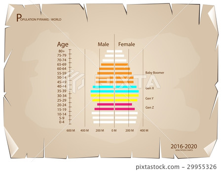 2016-2020 Population Pyramids Graphs 29955326
