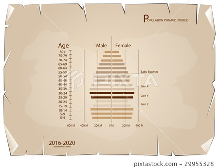 2016-2020 Population Pyramids Graphs 29955328