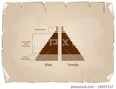 Detail of Population Pyramids Graphs Depend on Age Detail of Population Pyramids Graphs Depend on Age 29955337