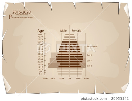 2016-2020 Population Pyramids Graphs 2016-2020 Population Pyramids Graphs 29955341