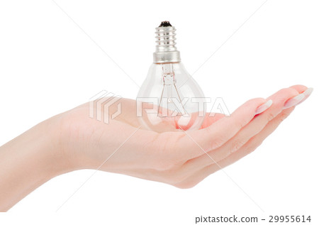 Lit lightbulb held in hand Lit lightbulb held in hand 29955614