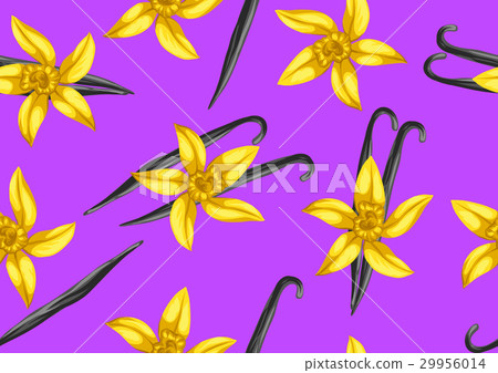 Seamless pattern with vanilla sticks and flower 29956014