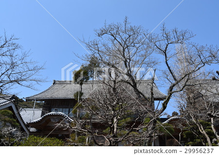 Iwashimaji Hamamatsu City 29956237