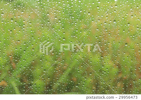 Background material _ glass and polka dots and fresh green 29956473