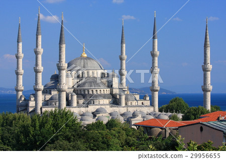 Blue Mosque and the Bosphorus Blue Mosque and the Bosphorus 29956655