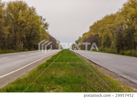 asphalt road and forest. Cars drive along the road 29957452