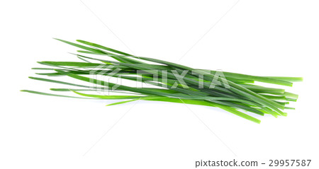 Garlic chives isolated on white background 29957587