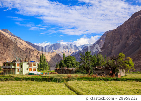 Turtuk village, Diskit, Jammu and Kashmir, India 29958212