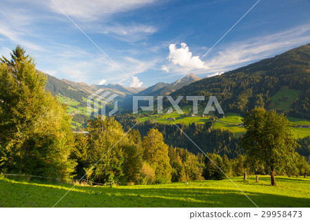 The alpine village of Alpbach and the Alpbachtal The alpine village of Alpbach and the Alpbachtal 29958473