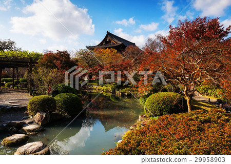 Toji temple in autumn, Kyoto 29958903