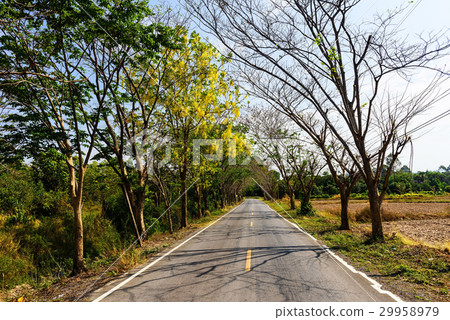 Empty local road with nature scenic 29958979