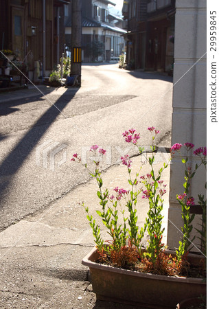 Asahi Inlet Alley 29959845