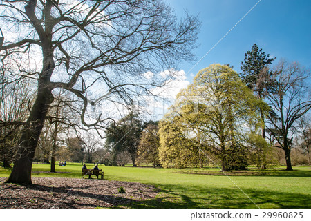 冬天的倫敦提示花園在寬敞的草坪和一棵大樹上休息的人們 29960825