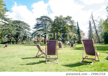 A deck chair placed on the lawn surrounded by big trees in the park A deck chair placed on the lawn surrounded by big trees in the park 29961558