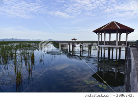 The pavilion and old wooden bridge path on lagoon 29962423