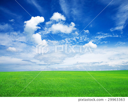 field 29963363