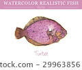Hand painted watercolor edible fish. Vector design 29963856