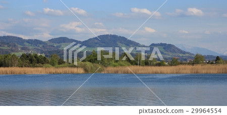 Shore of lake Pfaffikon 29964554