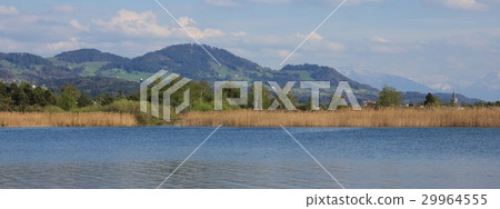 Shore of lake Pfaffikon and Bachtel 29964555