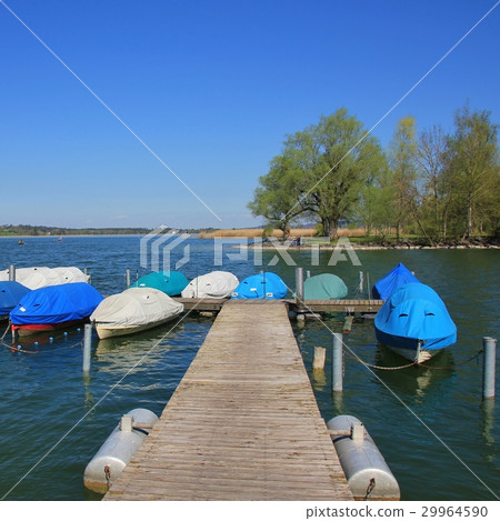 Fishing boats on the shore of lake Pfaffikon 29964590