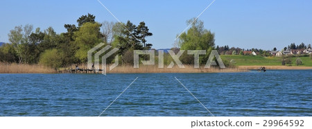 Shore of lake Pfaffikon on a spring day 29964592