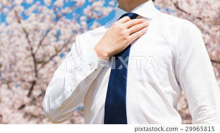 Businessman and cherry blossoms, Spring image 29965815