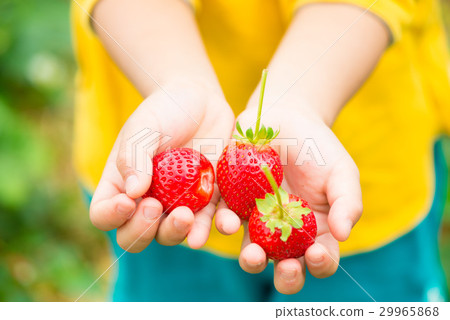 草莓的孩子 草莓的孩子 29965868