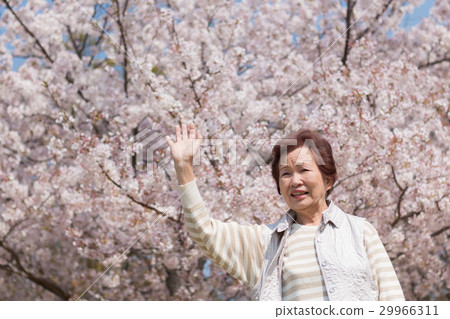 Senior women walking outdoors Senior women walking outdoors 29966311