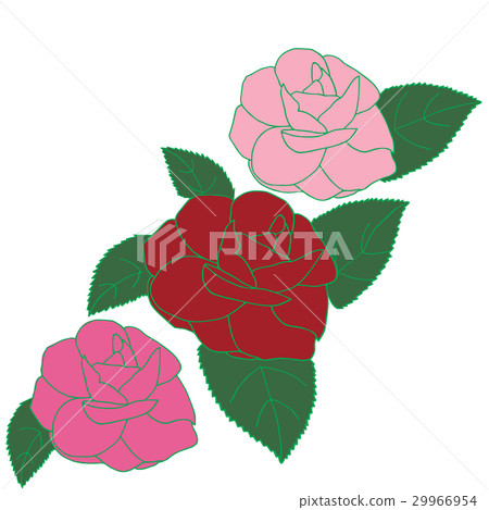 Red pink violet roses hand drawn 29966954