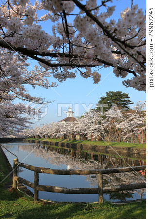 Tsuruoka park moat 29967245