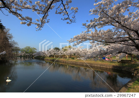 Tsuruoka park moat Tsuruoka park moat 29967247
