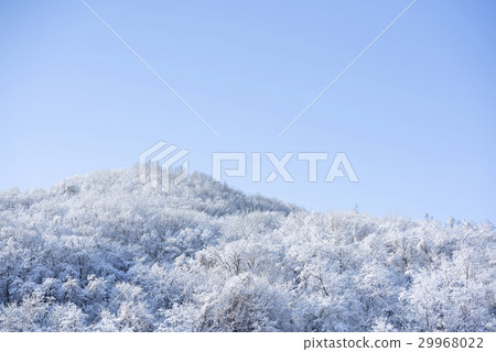 Ice image Ice image 29968022