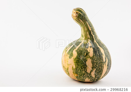Pumpkin (Cucurbita maxima) isolated Pumpkin (Cucurbita maxima) isolated 29968216