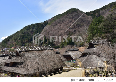 Satoneba of healing 29969006