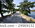 I will introduce the scenery of Ohori Park, I have been traveling to Kyushu in springtime. 29969132