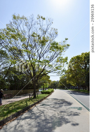 I will introduce the scenery of Ohori Park, I have been traveling to Kyushu in springtime. 29969136