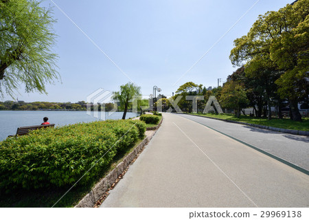 I will introduce the scenery of Ohori Park, I have been traveling to Kyushu in springtime. 29969138