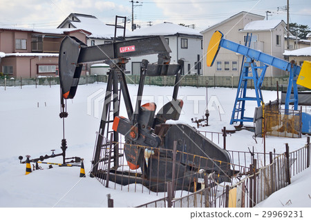 秋田市步行街：八橋石油田 29969231