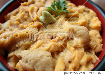 Sea urchin bowl Sea urchin bowl 29969369