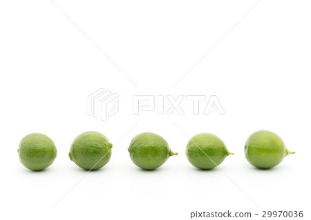 Key Lime: Key Lime Key Lime: Key Lime 29970036