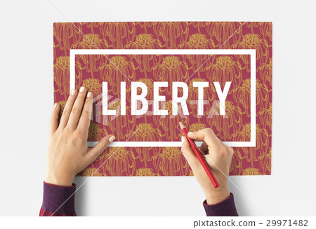 Liberty Freedom Independence Symbol Immigration 29971482